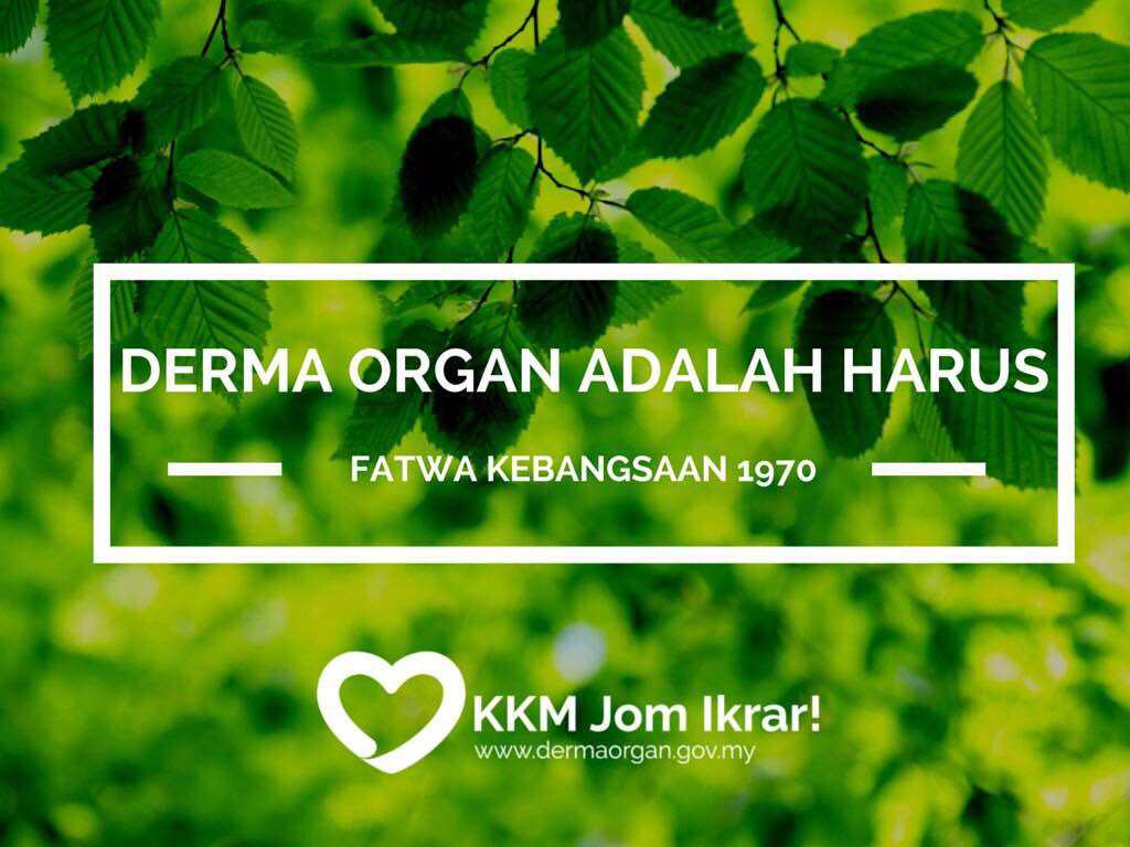 Islam dalam derma organ Derma Organ:
